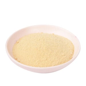 Freeze-Dried Mango Powder